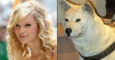15 Hilarious Celebrity Animal Look-Alikes