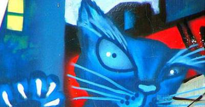 Cat Graffiti Is A Real And Beautiful Thing
