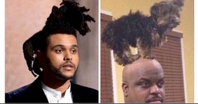 Celebrities That Look Like Other Things