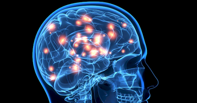 Scientists Have Found The Secret To Learning Twice As Fast