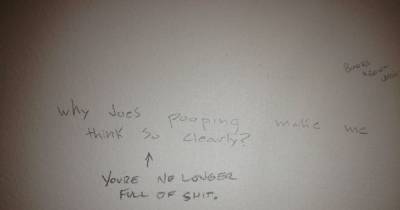 Pieces Of Bathroom Graffiti Far Too Clever To Look At While Pooping