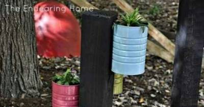 These Ideas Are So Great That Tomorrow Everyone Will Be Digging Through The Trash Looking For Cans.