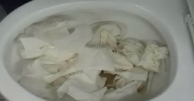 This Is How They Unclog Toilets In Korea And It&rsquo;s Genius!