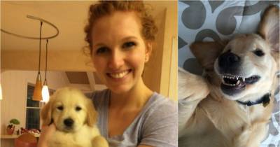 He Looks Like A Normal Puppy, But This Dog Hides A 'Biting' Secret