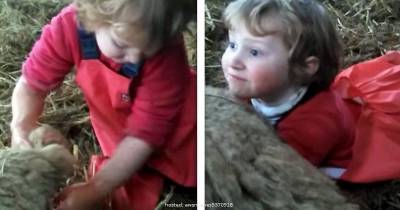 This 3 Year Old Just Did Something That Will Leave You Speechless