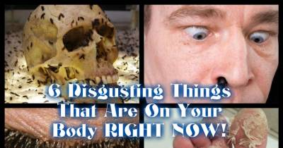 6 Disgusting Things That Are On Your Body RIGHT NOW!