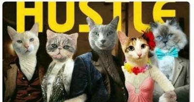 &ldquo;Straight Outta Clawpton&rdquo;? &ldquo;Single White Feline&rdquo;? Welcome to Kitty Theater