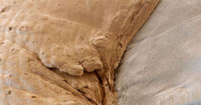 These Body Parts Have Always Been There But You Have Never Seen Them Like This