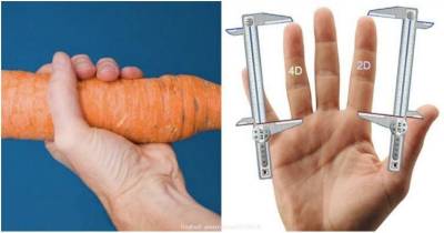 Weird Facts About The Human Body
