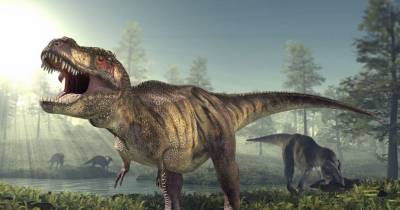 The Deadliest Carnivorous Dinosaurs To Ever Exist
