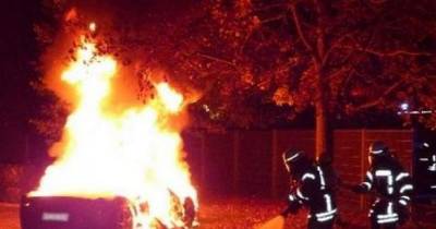 Millionaire's Son Torched Ferrari So He Would Get A New One