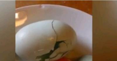 Watch Bizarre Moment Woman Cracks Open Egg And Finds Another One INSIDE It