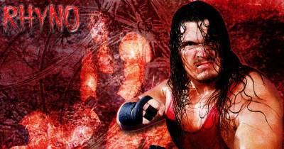 Rhyno Running For State Rep In Michigan