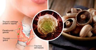 How One Cup Of Mushrooms Can Fight Thyroid Imbalances, Cancer And Vitamin D Deficiencies
