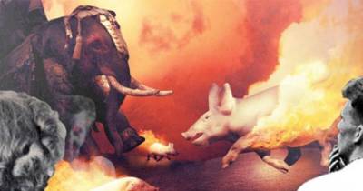 12 Of The Weirdest War Tactics Ever Used