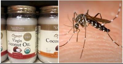 10 Amazing Ways Coconut Oil Can Save The Day