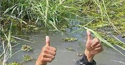 Hilarious Perfectly Acceptable Answers To Being Asked &ldquo;How&rsquo;s Life?&rdquo;
