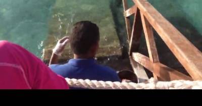 This Child Plays With A Strange New Friend. When I Realized What It Was My Jaw Dropped