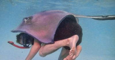 Reasons Why You Should Never Go Swimming, Ever Again
