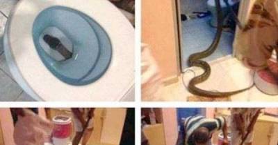 These Real Terrors Are Enough To Give You Nightmares