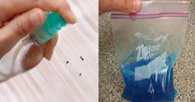 She Buys Dishwashing Soap But Uses It For More Than Her Dishes, And It's Genius