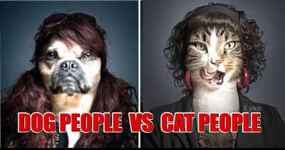 17 Basic Differences Between Dog People And Cat People