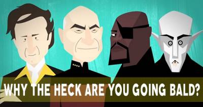 Why Some People Go Bald