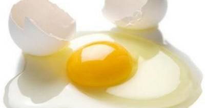 An Egg A Day Makes Your Scales Happy.
