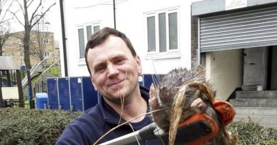 Huge 4ft Long Rat Found In Children&rsquo;s Playground In London