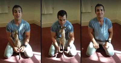 Baby Kangaroo Mistakes Police Officer For Parent, Gets In His &lsquo;Pouch&rsquo;