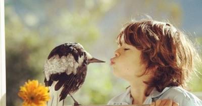 This Little Bird Never Forgot The Family That Saved Her