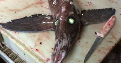 What This Fisherman In Newfoundland Pulled Out Of The Sea Is Freaking People Out