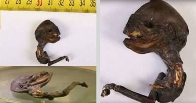 Corpse Found Near Nuclear Power Plant In Russia Rumored To Be "Alien"