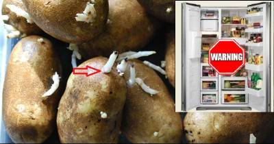 Have You Ever Stored Potatoes In The Fridge? This Is Why You Should Never Do It Again