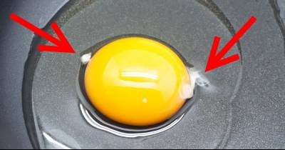 I Always Wondered Why My Eggs Had These &lsquo;White Strings&rsquo; Attached To The Yolk.. When I Find Out What This Is? Gross!