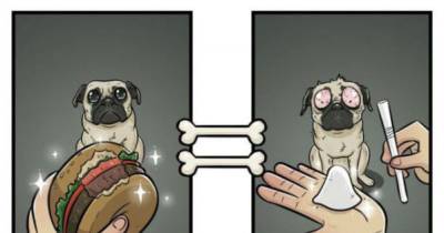 How Dogs See The World