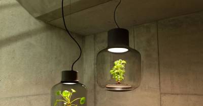 Lamps Designed To Grow Plants In Windowless Spaces