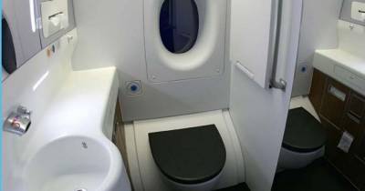 Have You Ever Wondered What Happens When You Flush A Plane Toilet?