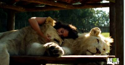 Her Relationship With These Lions Will Surely Blow Your Mind