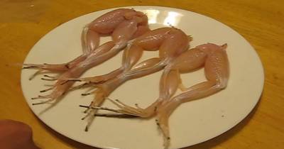 Make Sure Your Food Is Dead Before You Eat It