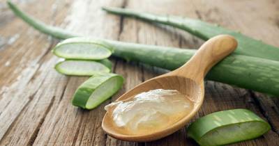 11 Hacks You Can Perform Using Just Aloe Vera Gel