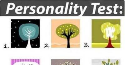 This Is One of the Most Accurate Personality Test's You Can Take For FREE