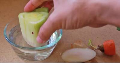 Leftover Celery Put Into Water, What Happened After 3 Days? The Result is Amazing!