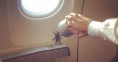 11 Of The Most Annoying Plane Passengers Ever