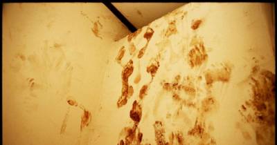 The Most Shocking Real World Pictures You Will Ever See