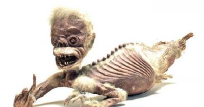 Thought Of As A Mermaid, This Strange &lsquo;Half Mammal Half Fish&rsquo; Creature Has Baffled Many