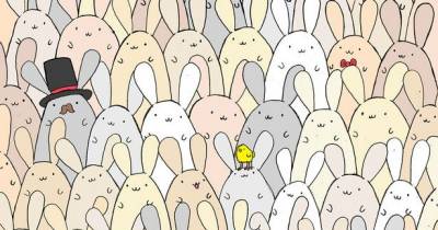 Can You Find The Hidden Egg Amongst These Bunnies?