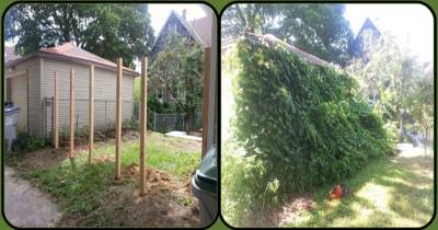 He Put 6 Poles In The Ground, And The End Results Are Stunning