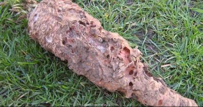 You Could Be Ingesting 5 Liters Of This Poison Every Year Without Knowing It! I Was Shocked When I Found Out Why.