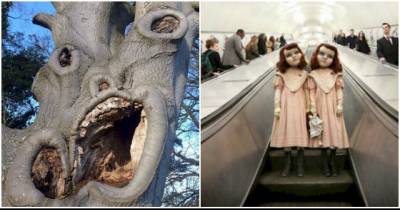 Scary Pictures That Prove That The Reality Is Frightening